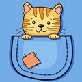 Pocket Cat. Childish print with kitty for t-shirt Royalty Free Stock Photo